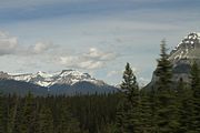 27 - Banff to Icefields - IMG_0942